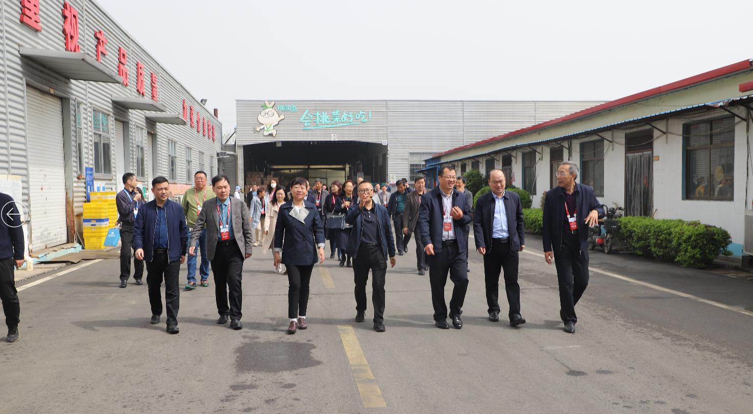 1681722139387659.jpg 1681722139387659.jpg