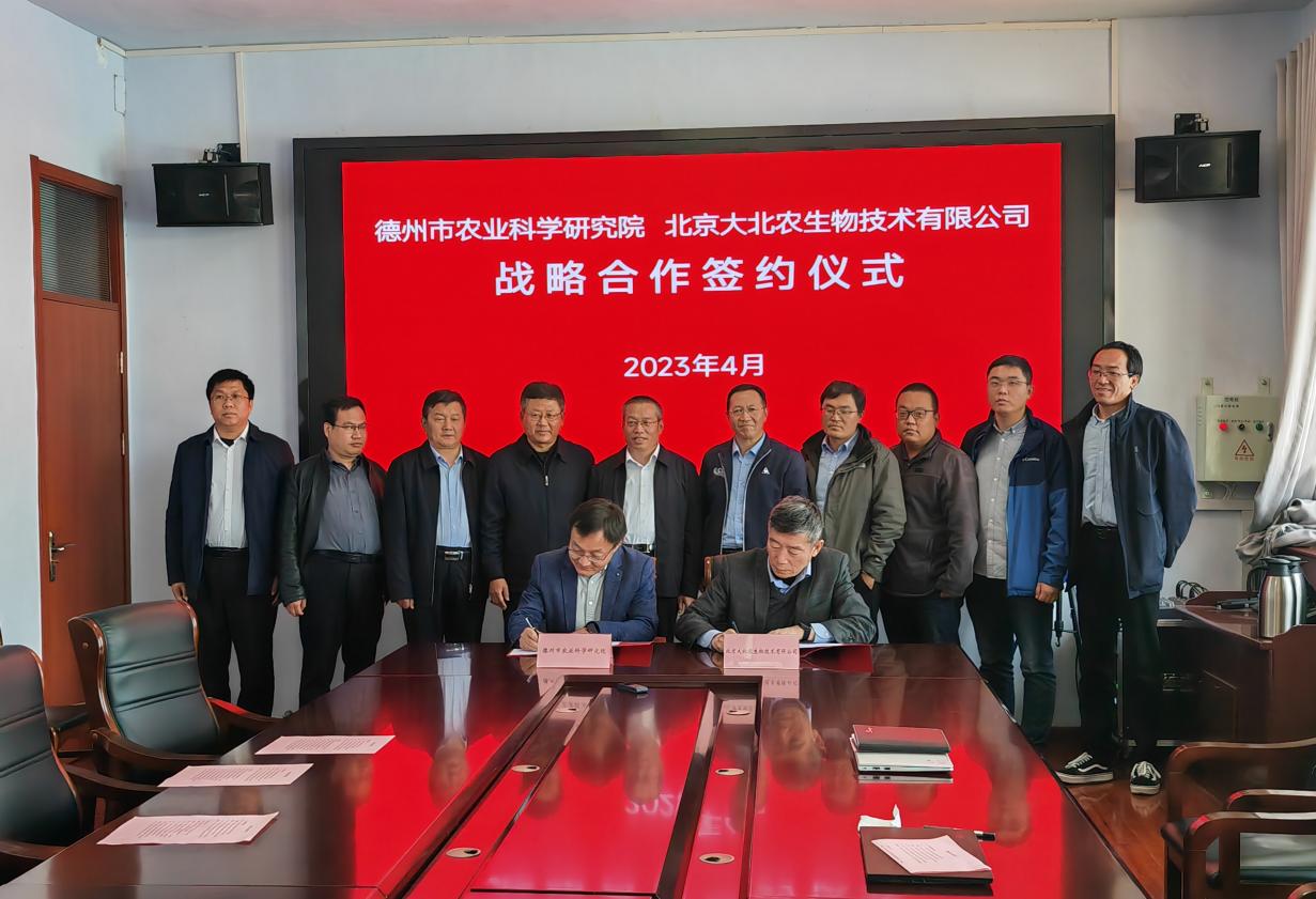 1682496526188818.jpg 1682496526188818.jpg