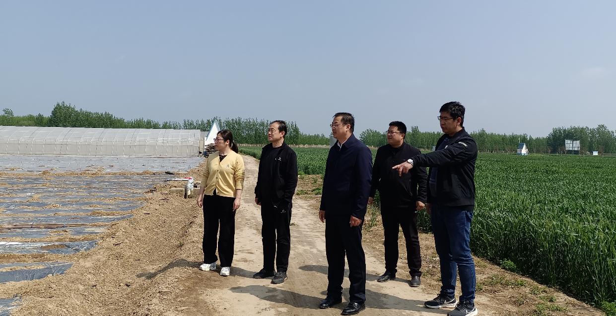 1682565886336090.jpg 1682565886336090.jpg