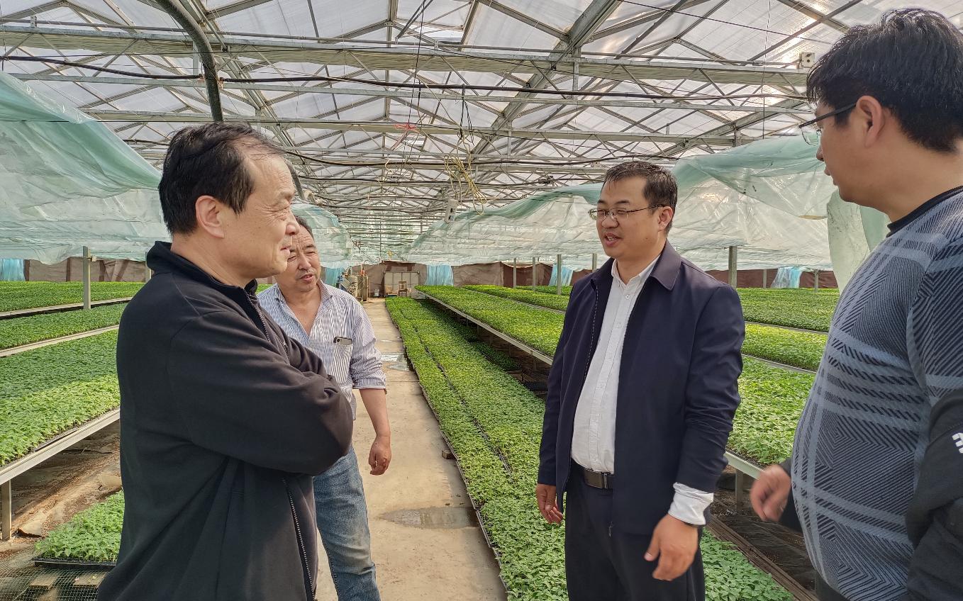 1682565886519167.jpg 1682565886519167.jpg