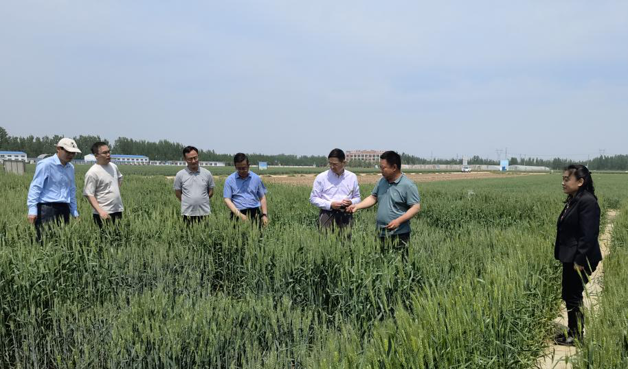 1683170738765438.png 1683170738765438.png