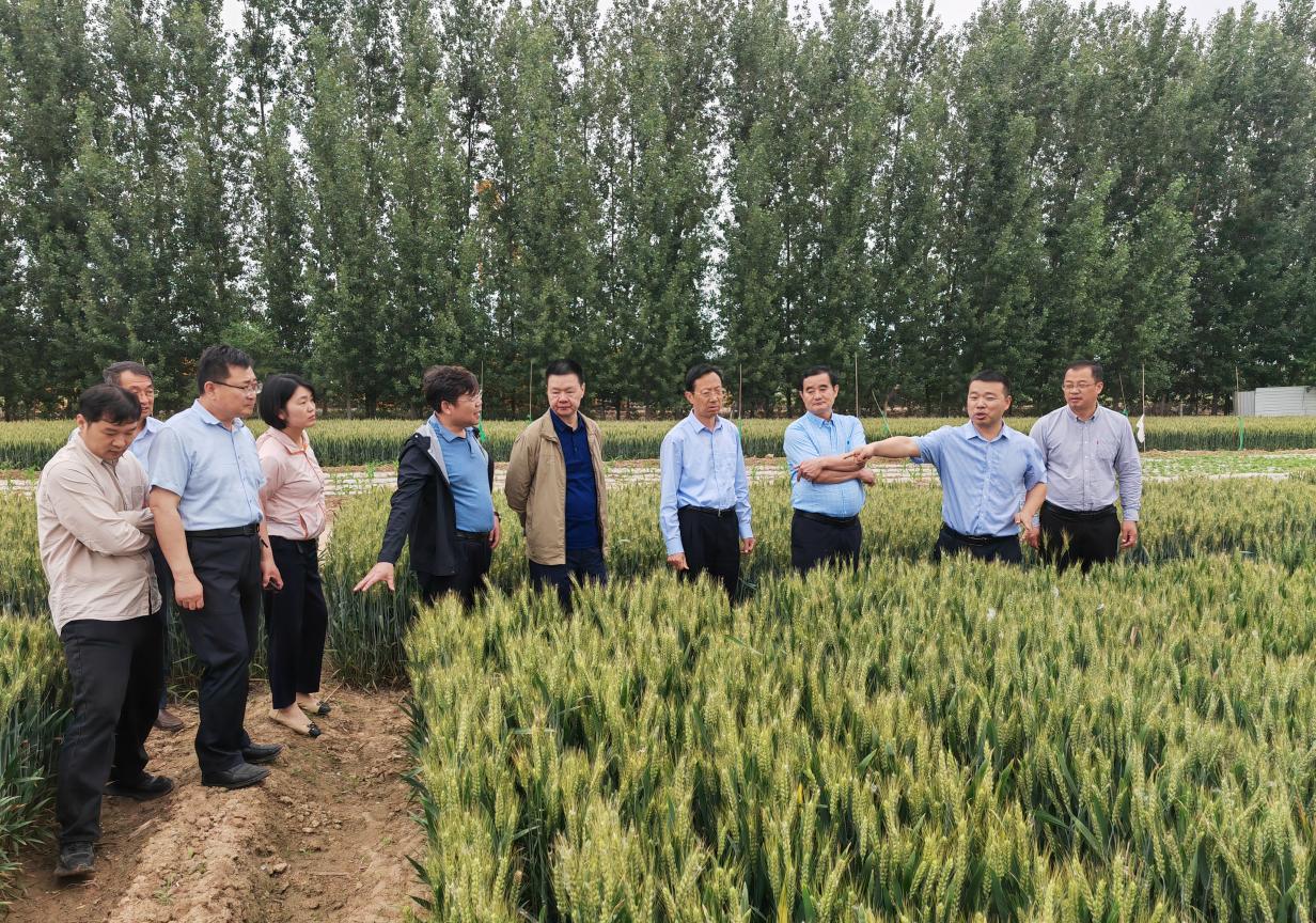 1685007041176378.jpg 1685007041176378.jpg