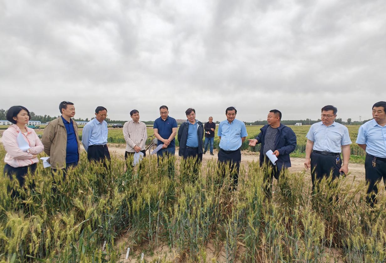 1685007086970235.jpg 1685007086970235.jpg