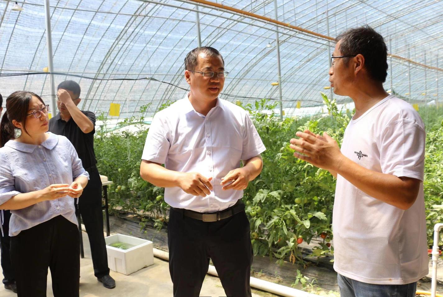 1688437302848893.jpg 1688437302848893.jpg