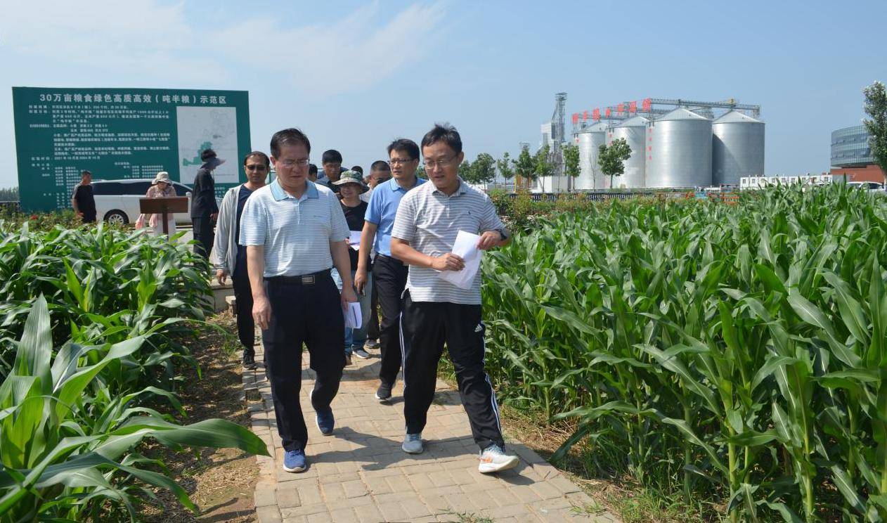 1690438622288723.jpg 1690438622288723.jpg