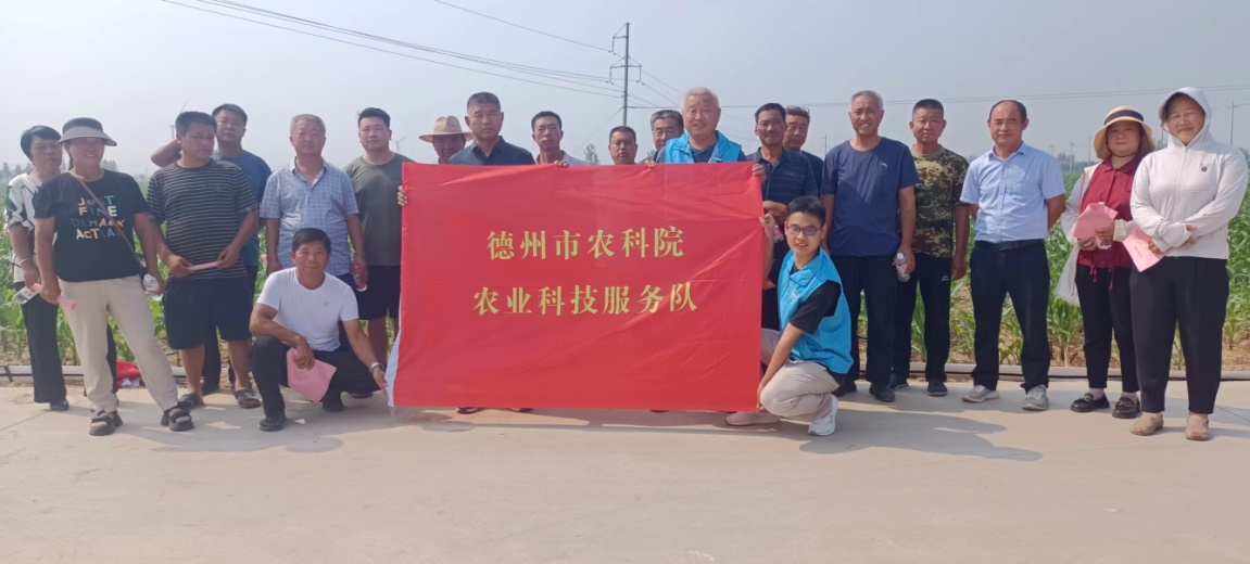 1691633092991971.png 1691633092991971.png