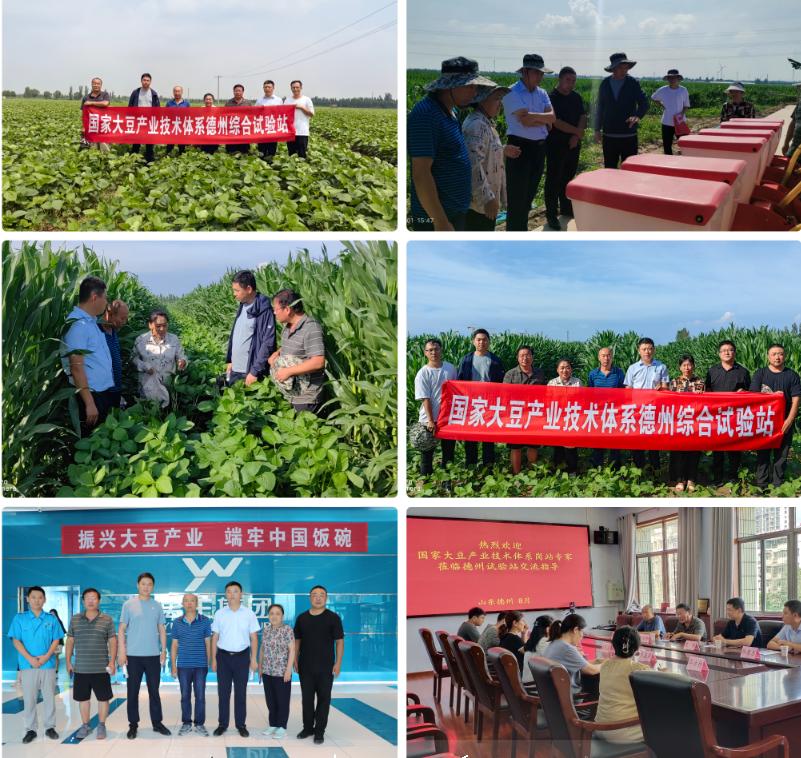 1692752122613661.jpg 1692752122613661.jpg