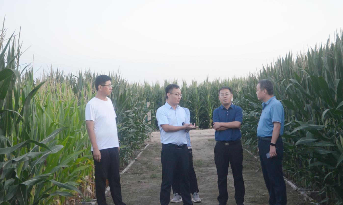 1692864124647762.jpg 1692864124647762.jpg