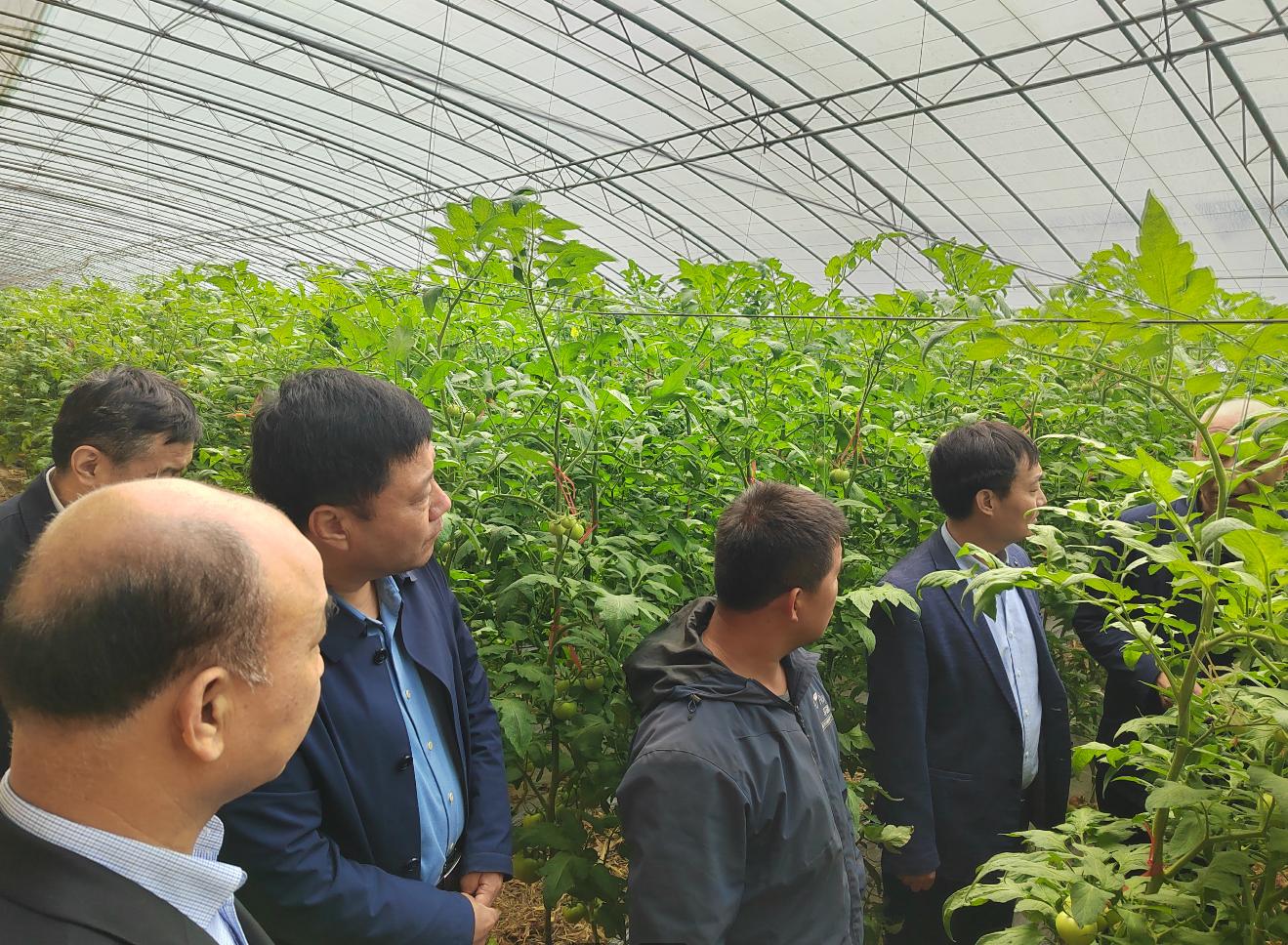 1712046274883868.jpg 1712046274883868.jpg