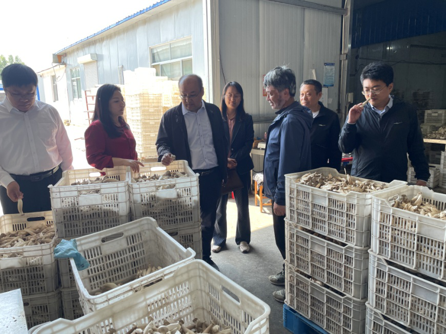 1714984230599491.png 1714984230599491.png