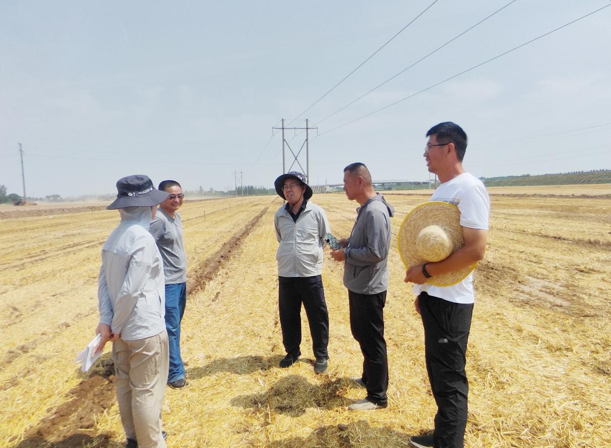 1719218210985533.jpg 1719218210985533.jpg