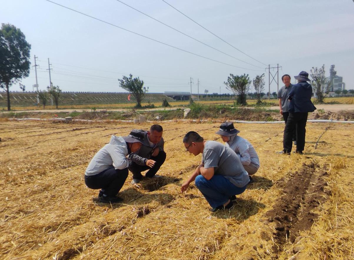 1719218236507407.jpg 1719218236507407.jpg