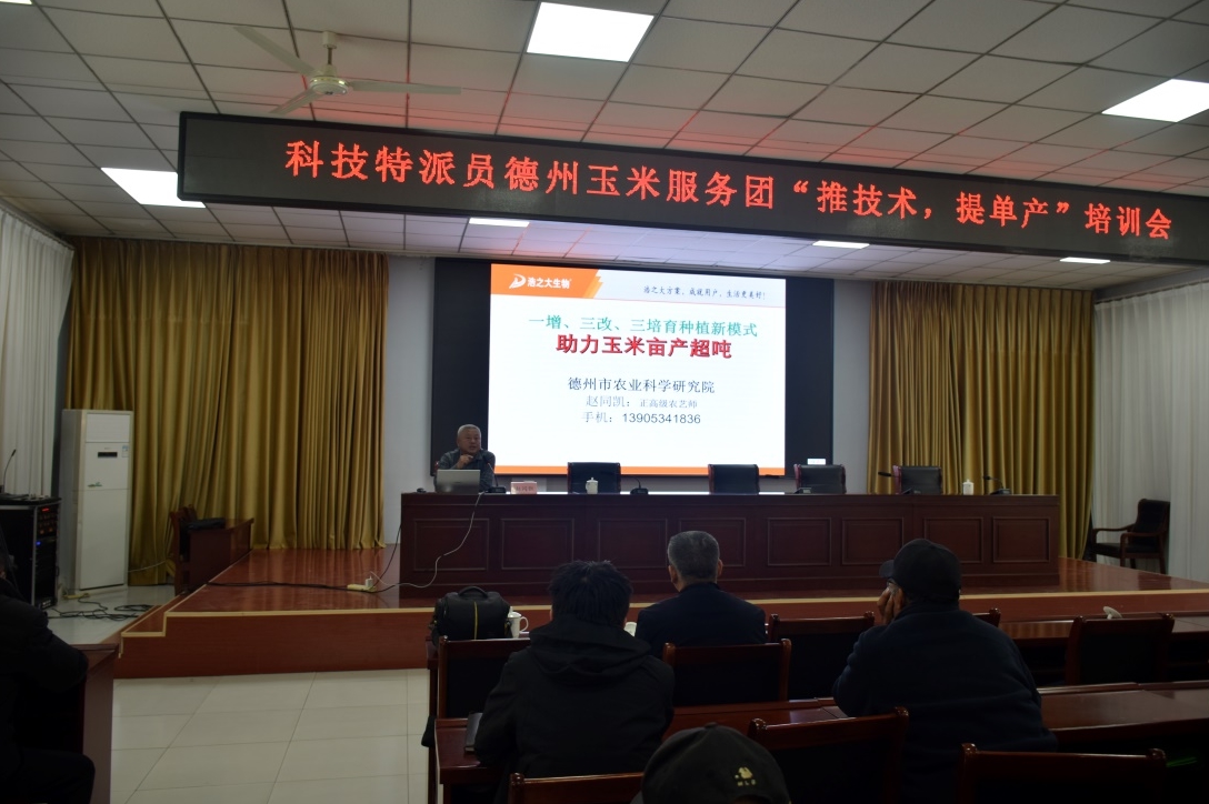 1733991052636486.jpg 1733991052636486.jpg