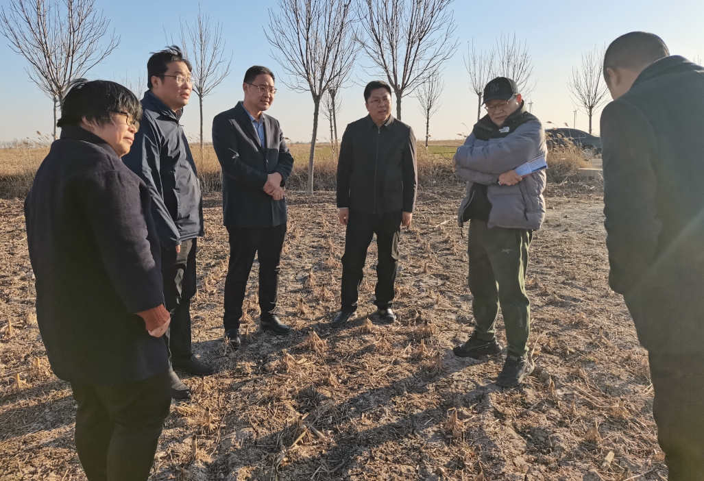 1736921656318140.jpg 1736921656318140.jpg