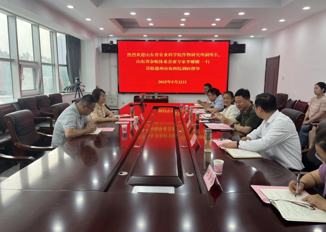 1747996663926134.jpg 1747996663926134.jpg