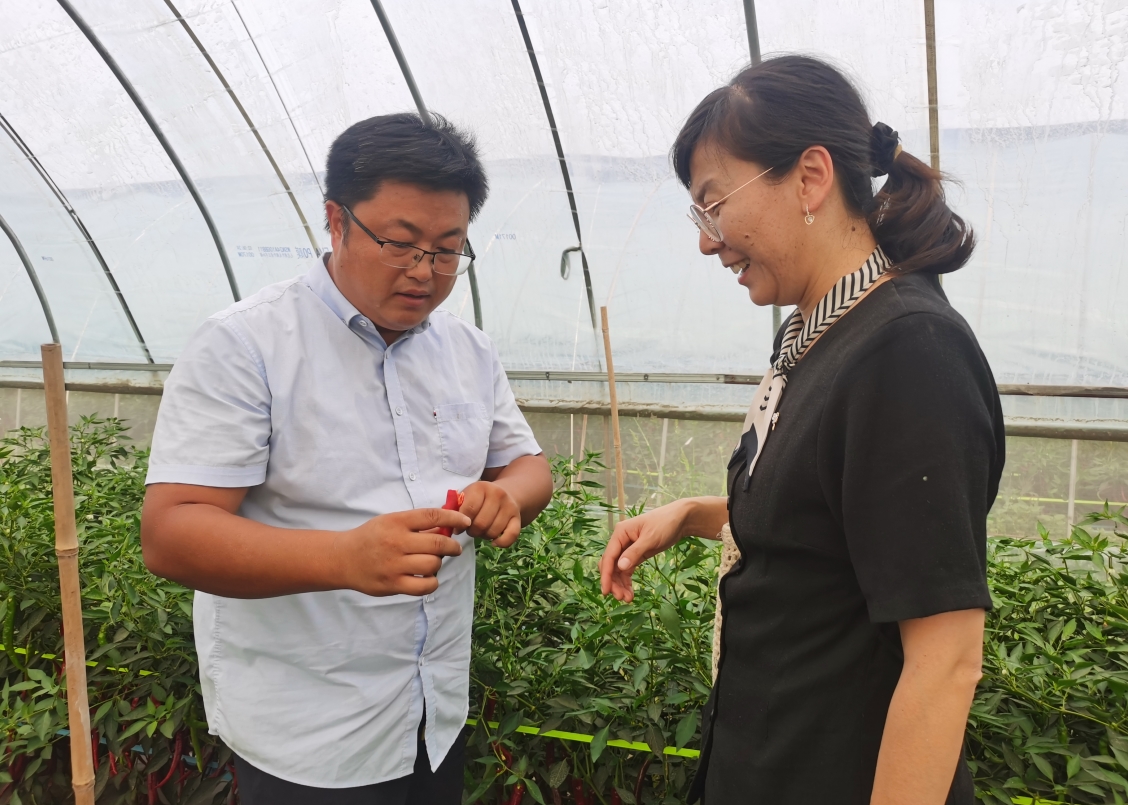 1753259888244119.jpg 1753259888244119.jpg