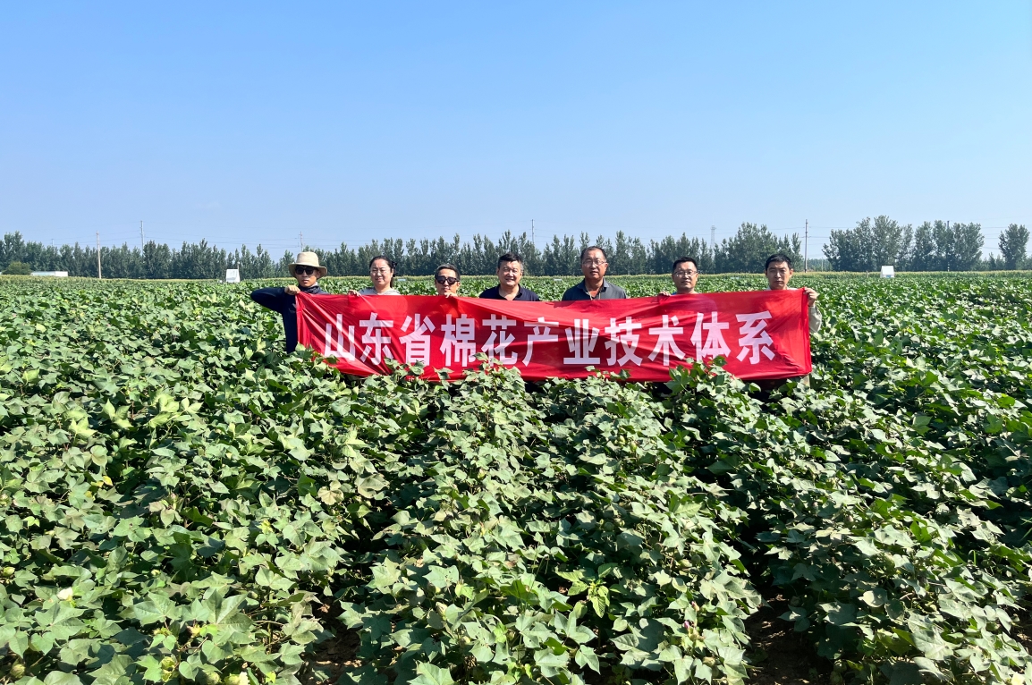 1755079111552213.jpg 1755079111552213.jpg