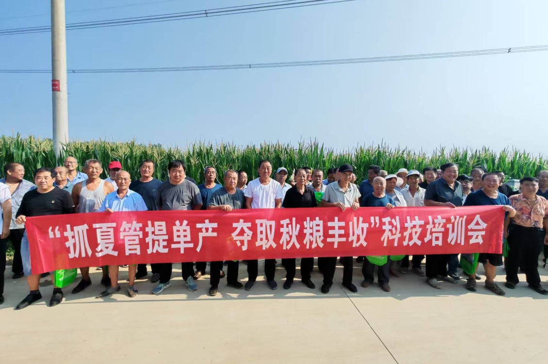 1755165707837066.jpg 1755165707837066.jpg