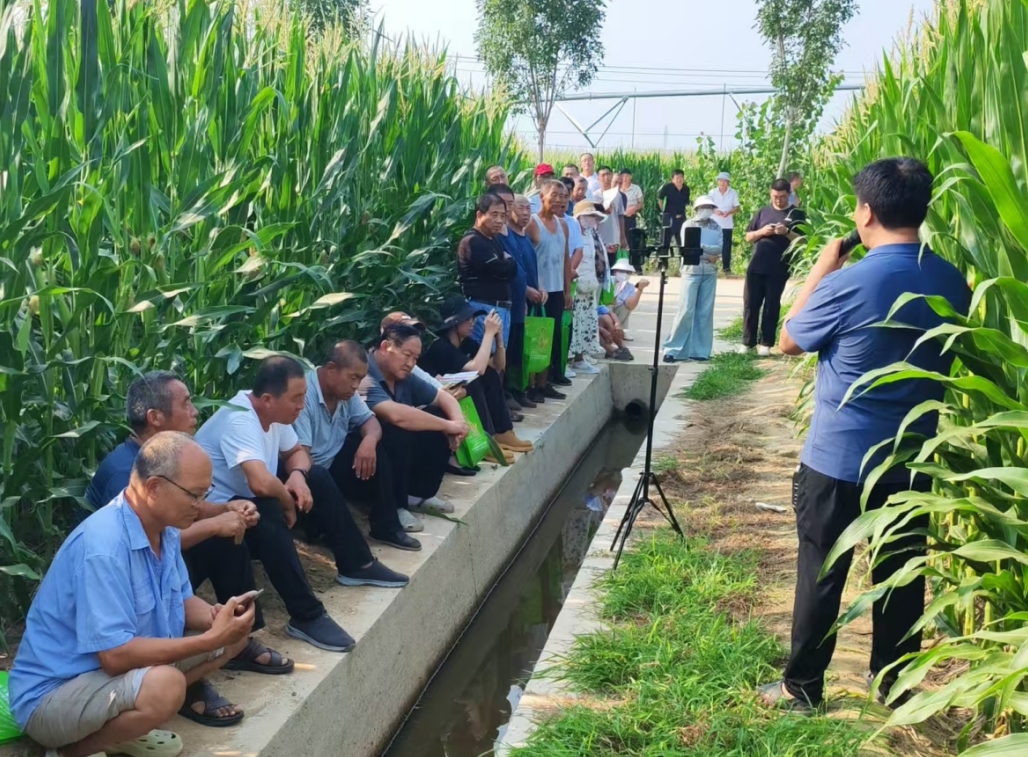 1755165733820874.jpg 1755165733820874.jpg