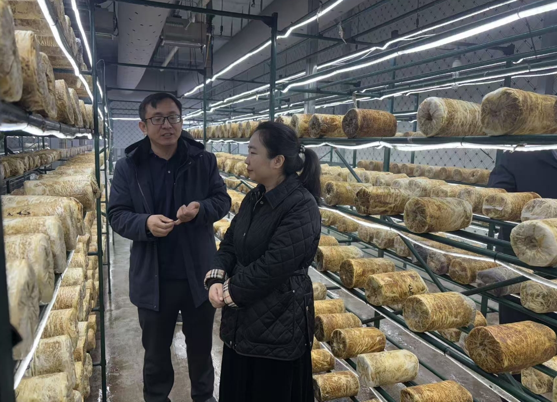 1766655521648852.jpg 1766655521648852.jpg