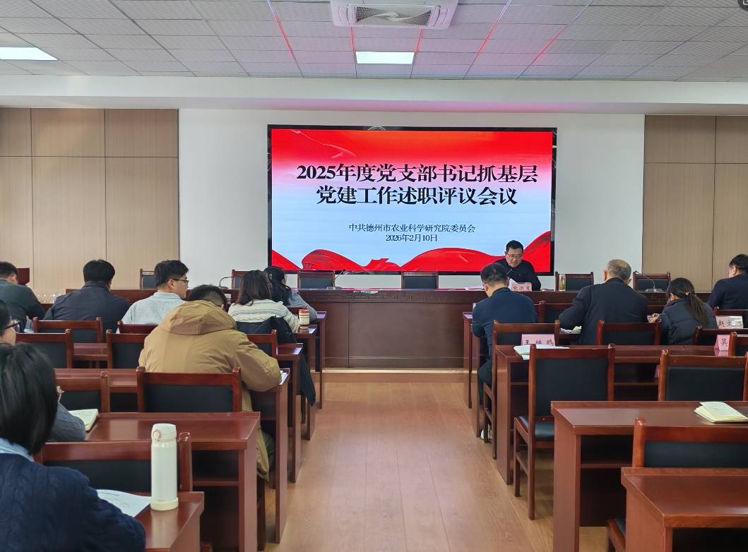 1770863273468747.jpg 1770863273468747.jpg